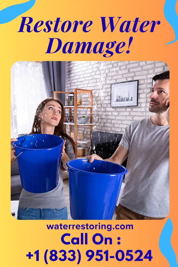 water restoration Rapid Damage Recovery Group Shiloh