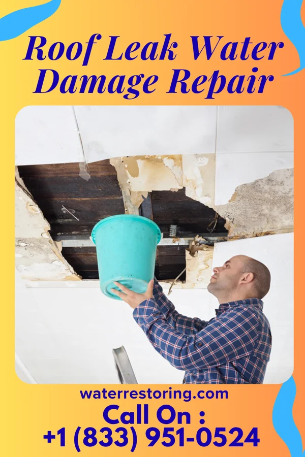 Roof Leak Water Damage Repair in Shiloh, PA