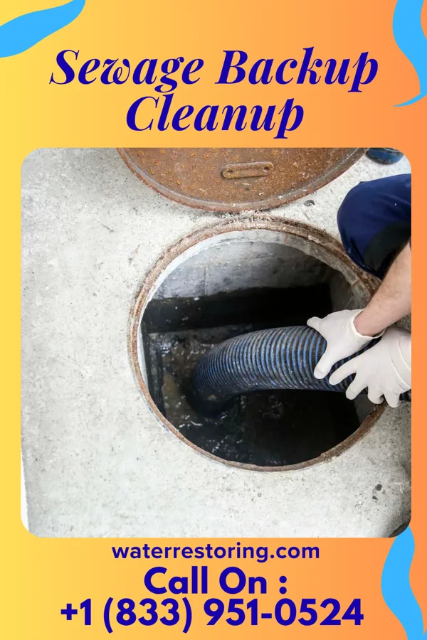 Sewage Backup Cleanup in Shiloh, PA