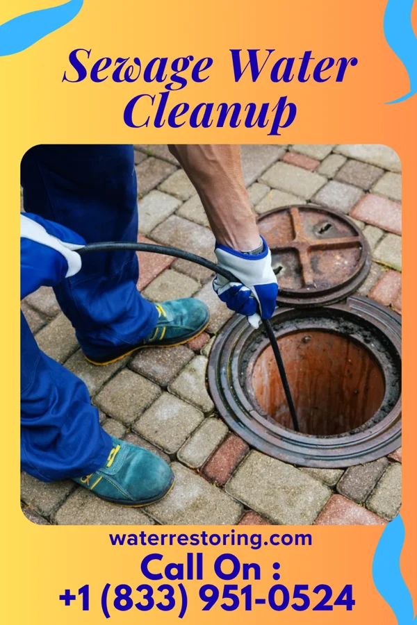 Sewage Water Cleanup in Shiloh, PA