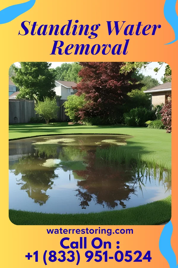 Standing Water Removal in Shiloh, PA